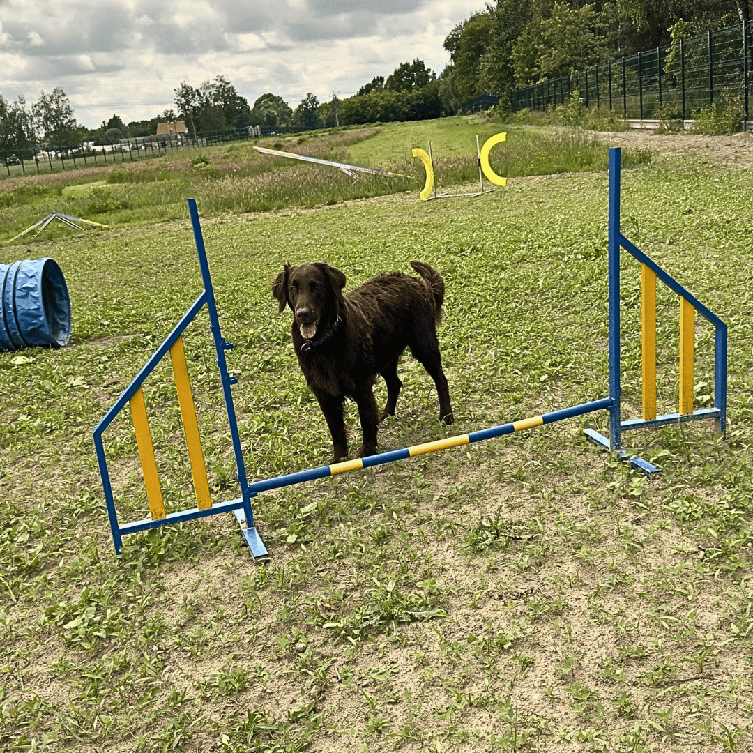 Tor Agility