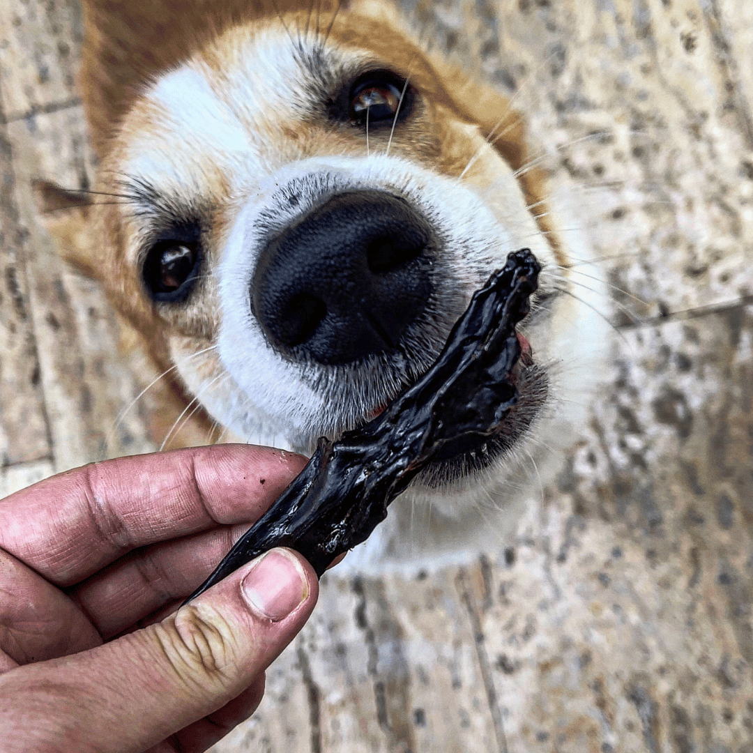 Zestaw z Konia- DV 7514 250G - Doggy Village