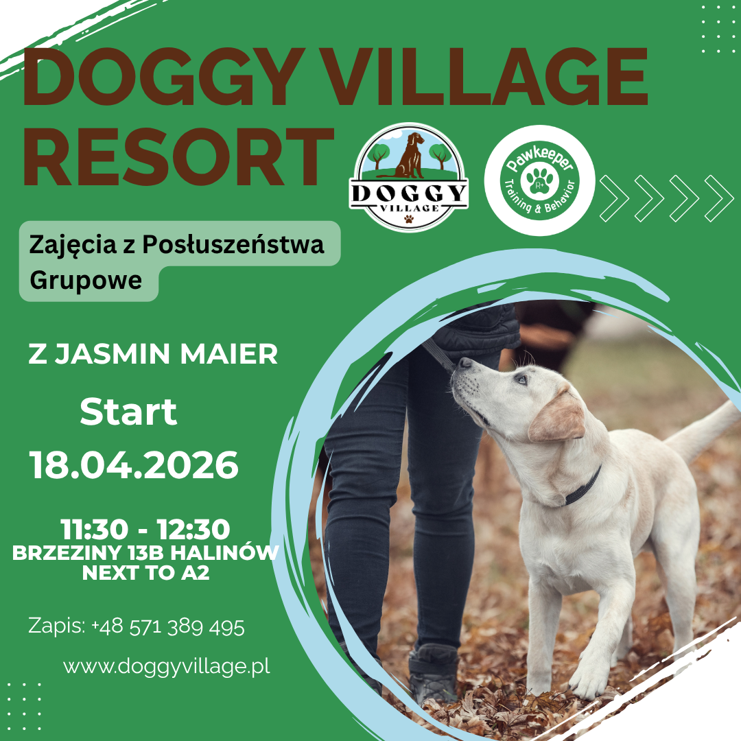 Zajęcia z Posłuszeństwa  Grupowe