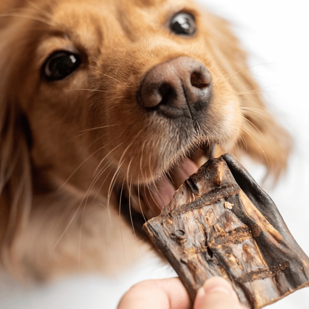 Gourmet Set - DV 7501 -150G - Doggy Village natural chews