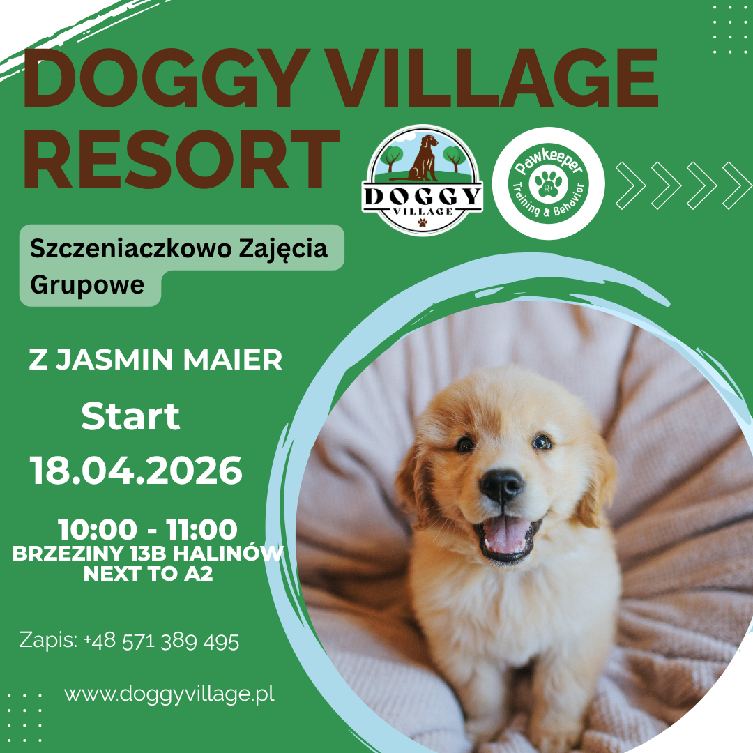 Szczeniaczkowo Zajęcia  Grupowe