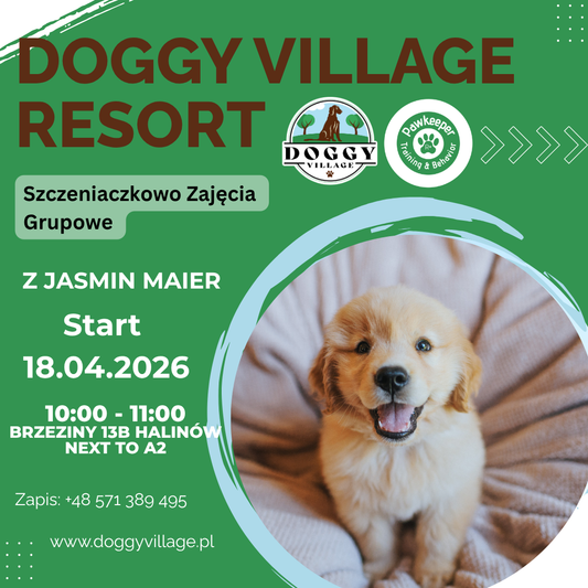 دروس جماعية في عالم الجراء