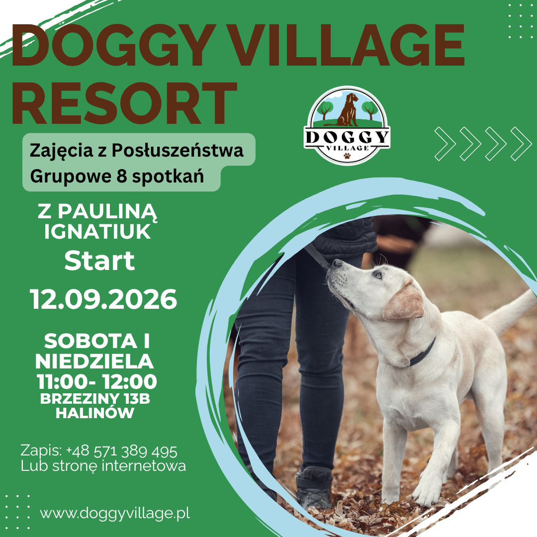 Zajęcia z Posłuszeństwa  Grupowe start 12.09.2026
