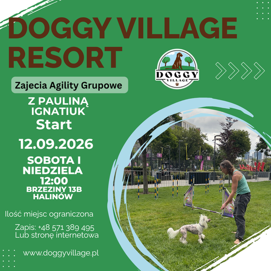 Zajecia Agility Grupowe start 12.09.2026