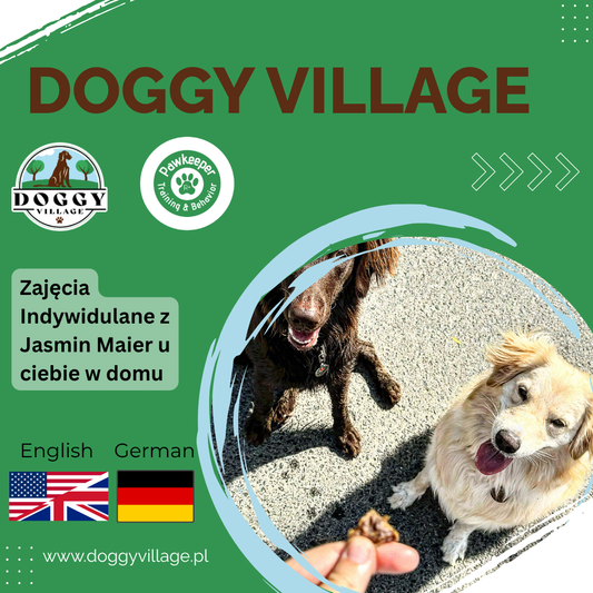 تدريب شخصي منزلي - مع ياسمين ماير