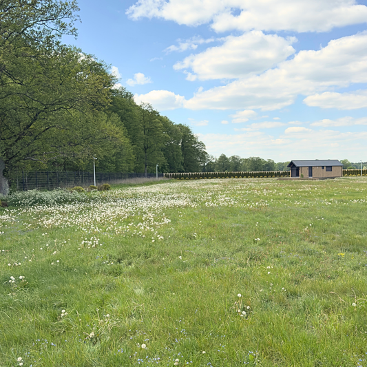 Emir Apartment – Doggy Village, Masuria (Imionek)