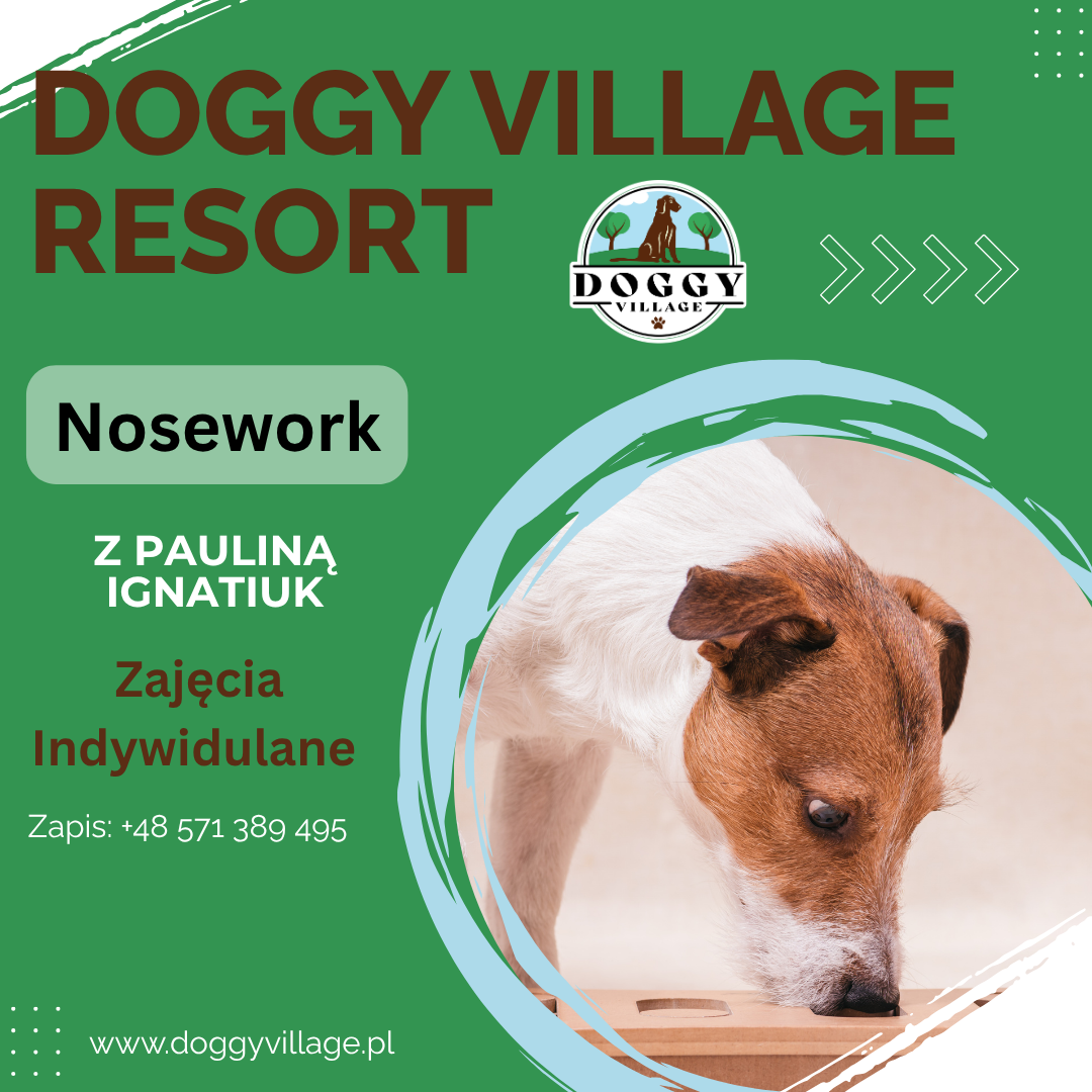 Nosework zajęcia idywidulane