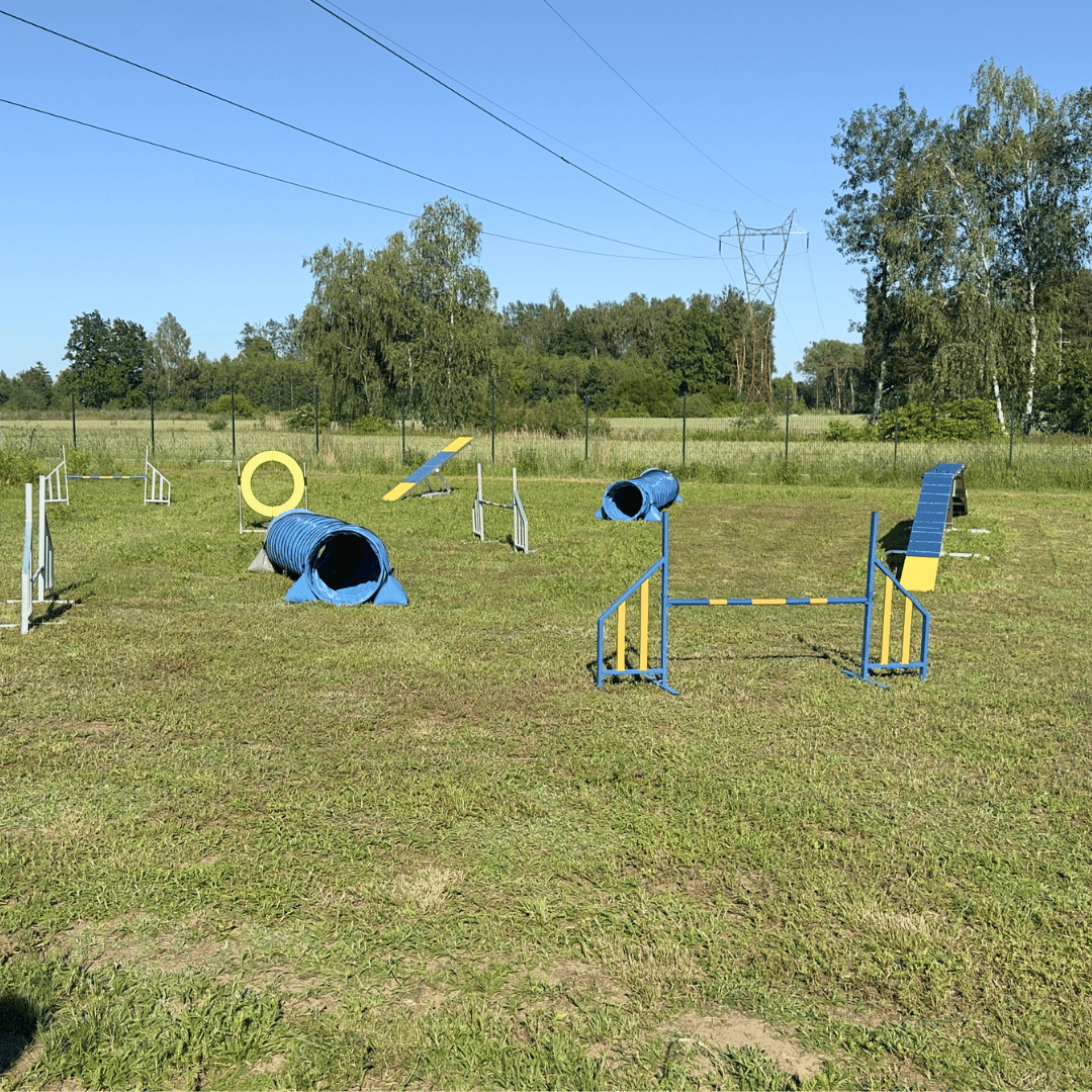 Tor Agility
