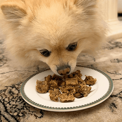 Air Dry 100% Beef Dog Food DV 7520 - 1 kg