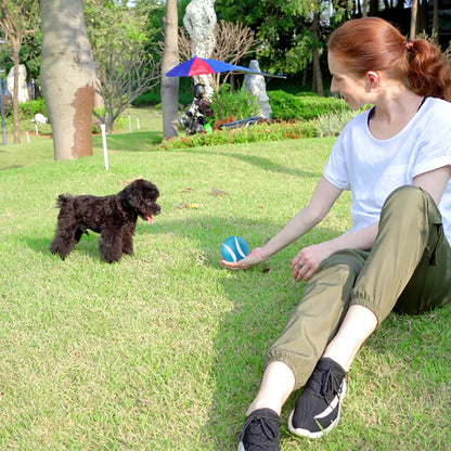 Interaktywna piłka dla psa lub kota INTERACTIVE ORB MT7108