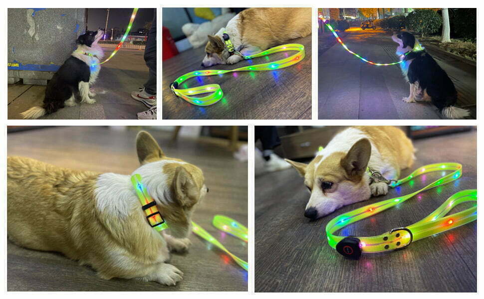 Świecąca smycz LED dla psa - SIGNAL LEASH
