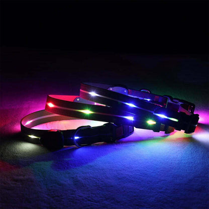 LED Light Up Dog Collar - SIGNAL COLLAR