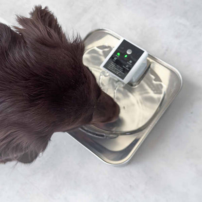 نافورة الشرب الأوتوماتيكية للكلاب SMART PET SPRING L