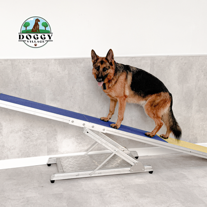 أرجوحة الكلب DOG TEETER كل قطعة في كرتونين (القاعدة واللوح)