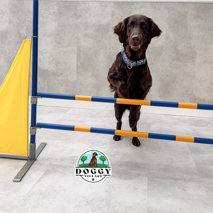 حاجز قفز عمودي خفيف للكلاب DOG HURDLE LITE